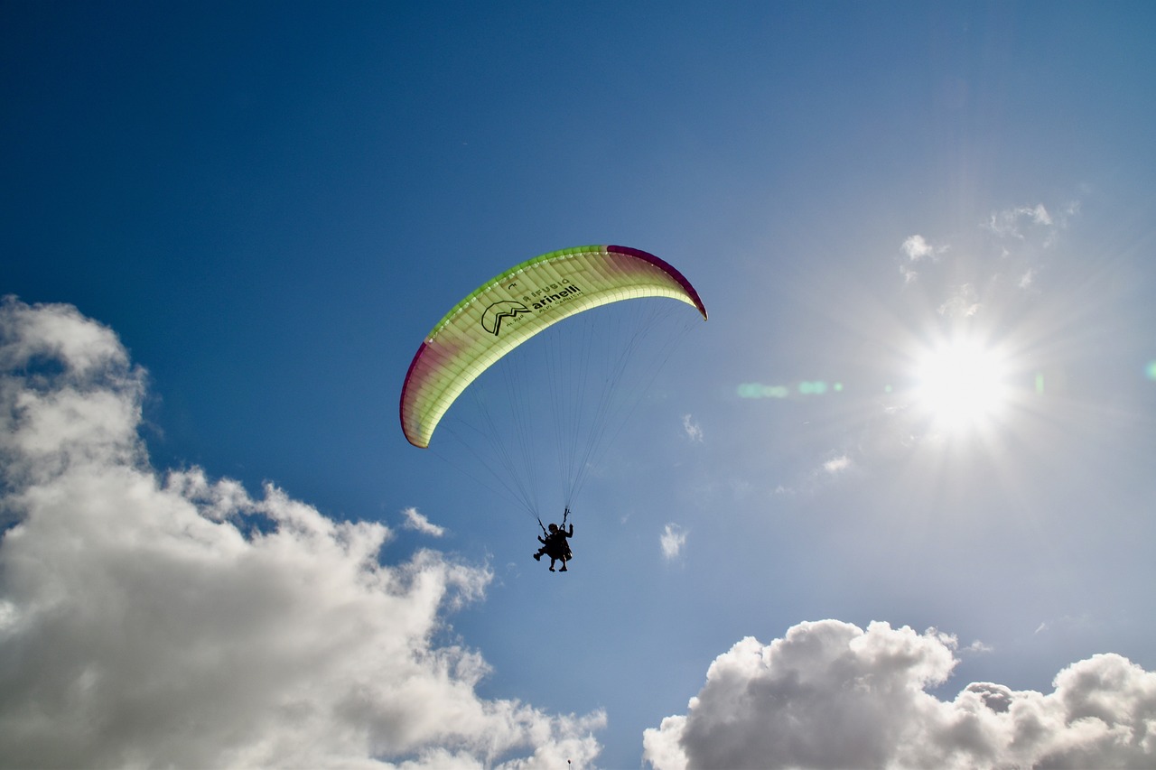 Reddybook Review: How the Innovative Platform is Shaping Modern Education